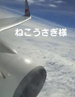 ねこうさぎ様
