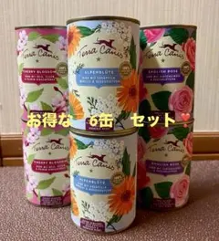 テラカニス　プレミアムフード缶詰めセット
