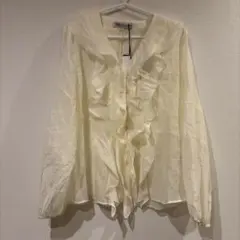 ZARA フリルシャツ　長袖　薄手