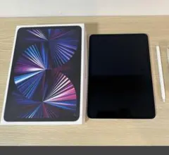 11インチiPad Pro第3世代256GBWi-Fi +Cell最終値下げ‼️ 11インチiPad Pro Wi-Fi + Cellular 256GB - スペースグレイ（第