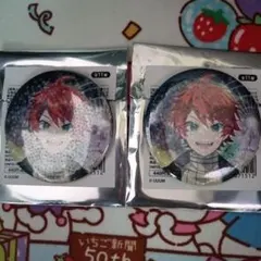 カラフルピーチ 東武動物公園 じゃぱぱ 缶バッジ2個