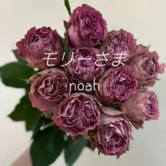 ❀ご購入前にコメントお願い致します❀ バラ 苗 切り花品種 - メルカリ