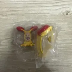 ホトケアカバネ