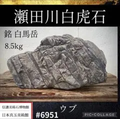 2026年最新】阿蘇山溶岩石の人気アイテム - メルカリ