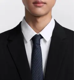2026年最新】Dior Homme カラー：ネイビー系 メンズ ネクタイの人気