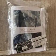 呪術廻戦　懐玉玉折　五条悟　夏油傑 プレミアムポストカードホルダー