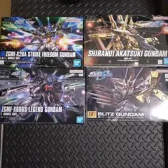 HG ザクウォーリア(ハイネ隊仕様) ガンダムSEEDデスティニー　懸賞非売品 HG ザクウォーリア(ハイネ隊仕様) ガンダムSEEDデスティニー 懸賞