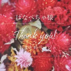 はなぺちゃ様 リクエスト 4点 まとめ商品