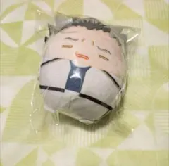 2025年最新】ハイキュー ふわコロりん スペシャル 木兎光太郎の