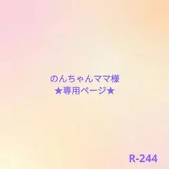 ★専用★R-244給食袋セット×2・のんちゃんママ様