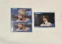 岩谷翔吾 STAGE RAMPAGE ステラン フォトカード セット