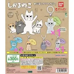 しかるねこ めじるしアクセサリー 4点セット