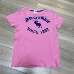 アバクロ　abercrombie   キッズ　Tシャツ　Ｌ
