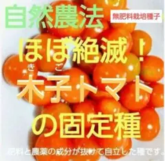 ヤッチ様 リクエスト 8点 まとめ商品