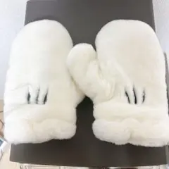 ミッキー手袋 東京ディズニーリゾート 大人用