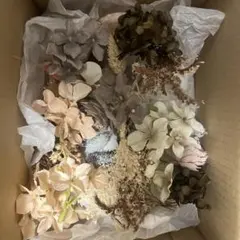 ピンクハウス ワンダフルワールド 雛菊コサージュセット キナリ系