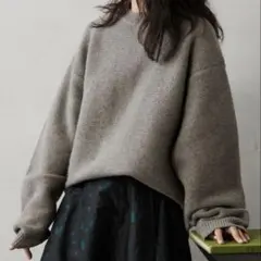 relume HAMILTON WOOL ガーター　クルーネックニット　M