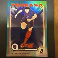 Item thumbnail for item 0019fc07-8ee8-4f45-910e-750827bbc665