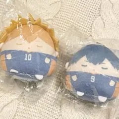 ハイキュー　日向翔陽　影山飛雄　くじメイト ぬいぐじ　E賞　てのりんず