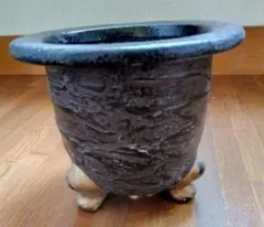 2025年最新】万年青鉢の人気アイテム - メルカリ