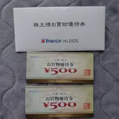 YAMADA HLDGS. お買物優待券 500円×2枚 1000円分
