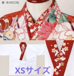 キャサリンコテージ 刺繍入り半衿付き肌襦袢 XS 兎柄 半襦袢 袴 卒園式