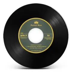 新品 レゲエ Nattali Rize Jo Mersa Marley 送料込