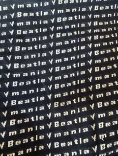 BEAMS BOY ×BOW WOWニット生地