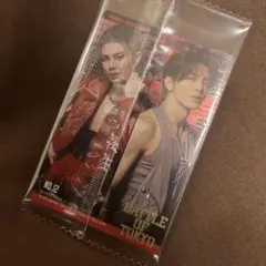 BATTLE OF TOKYO 武知海青 トレカ THERAMPAGE