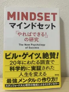MINDSET マインドセット