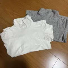 タートルネック 100