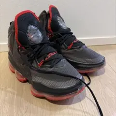 NIKE LEBRON 19 バスケットボールシューズ
