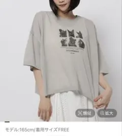 ニコアンド　シアーフォトプルオーバーのサムネイル