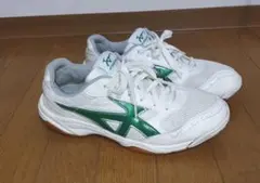 セール❗即日 ジムスター GYMSTAR 体育館履き 25.5EEcm 緑