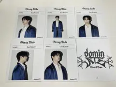 Stray Kids Lee Know domin ATEカード6枚セット