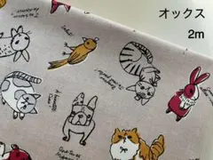 かっちゃん様 リクエスト 2点 まとめ商品