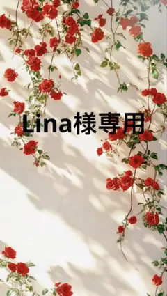 Lina様明日発送