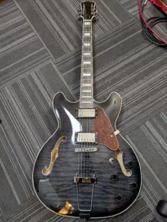 2025年最新】playtech セミアコの人気アイテム - メルカリ