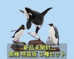 新品未開封 南極 特装版 シャチ ＆ コウテイペンギン ＆ イワトビペンギン