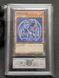 2026年最新】ハイチュウ ブルーアイズの人気アイテム - メルカリ
