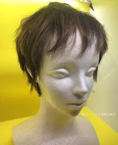 2025年最新】フォンテーヌ valanメッシュの人気アイテム - メルカリ