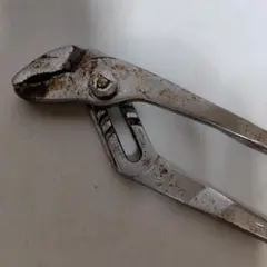 Item thumbnail for item f359f21e-802e-4ddd-8c41-143babcb4907