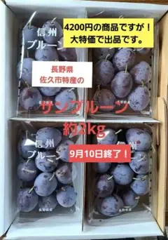 加工用 長野県北部 農家直送 生プルーン - メルカリ