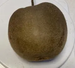 加工用キウイ訳あり　自家栽培・農薬不使用