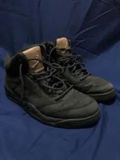 Item thumbnail for item 79d08a44-9b89-4fca-bf05-37cffa8faeea