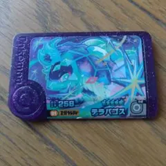 ポケモンフレンダ　テラパゴス