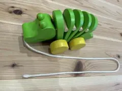 ダンシングアリゲーター　プラントイ