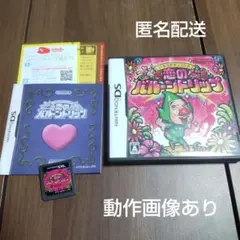 いろづきチンクルの恋のバルーントリップ　DS