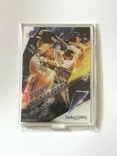 非売品　柳田悠岐　アクリルスタンド