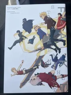 C108 まゆとかげ新刊Fate/strange Fakeアニメお疲れ様本 C108 まゆとかげ Fate/strange Fakeアニメお疲れ様本 - メルカリ
